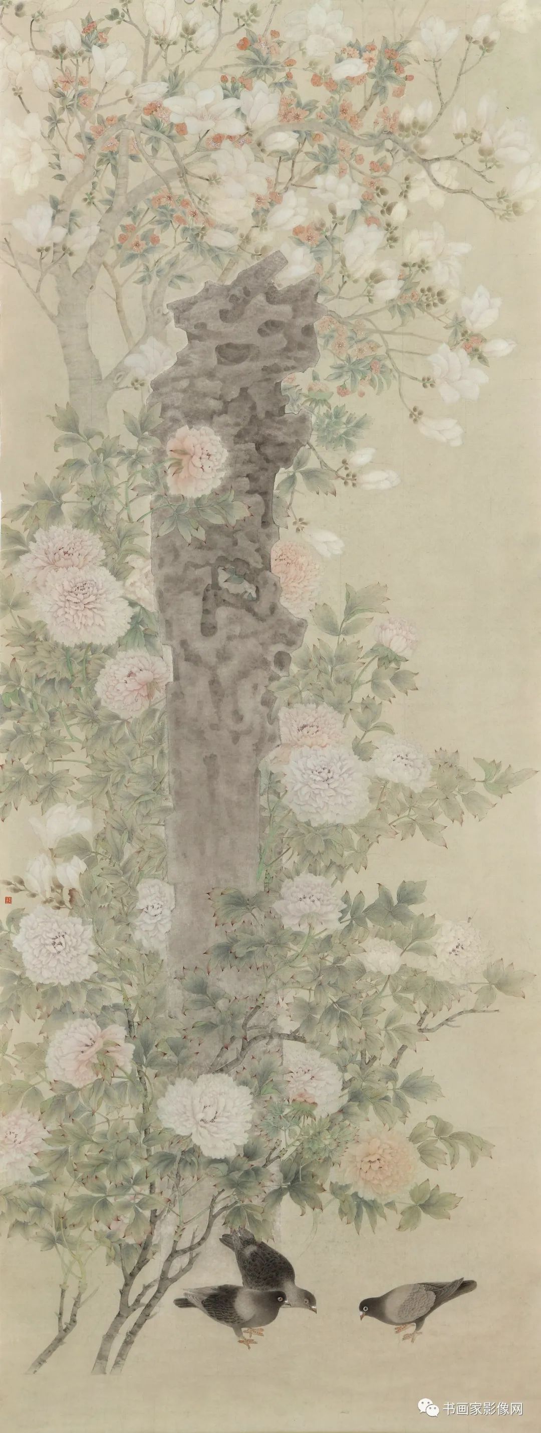 仨䣬ж졪ҡ
