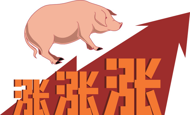 12月28号全线飘红，猪价持续上涨，“过年涨”提前到来，咋回事？