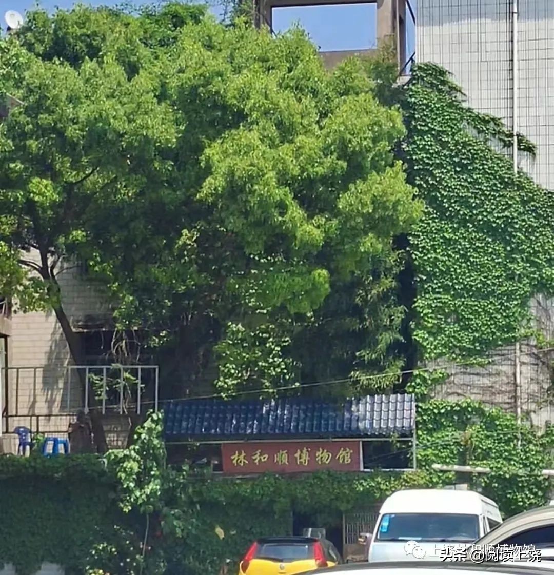 “轰炸东京”飞行员后人三天参观上饶一博物馆 赠《时代》周刊照片