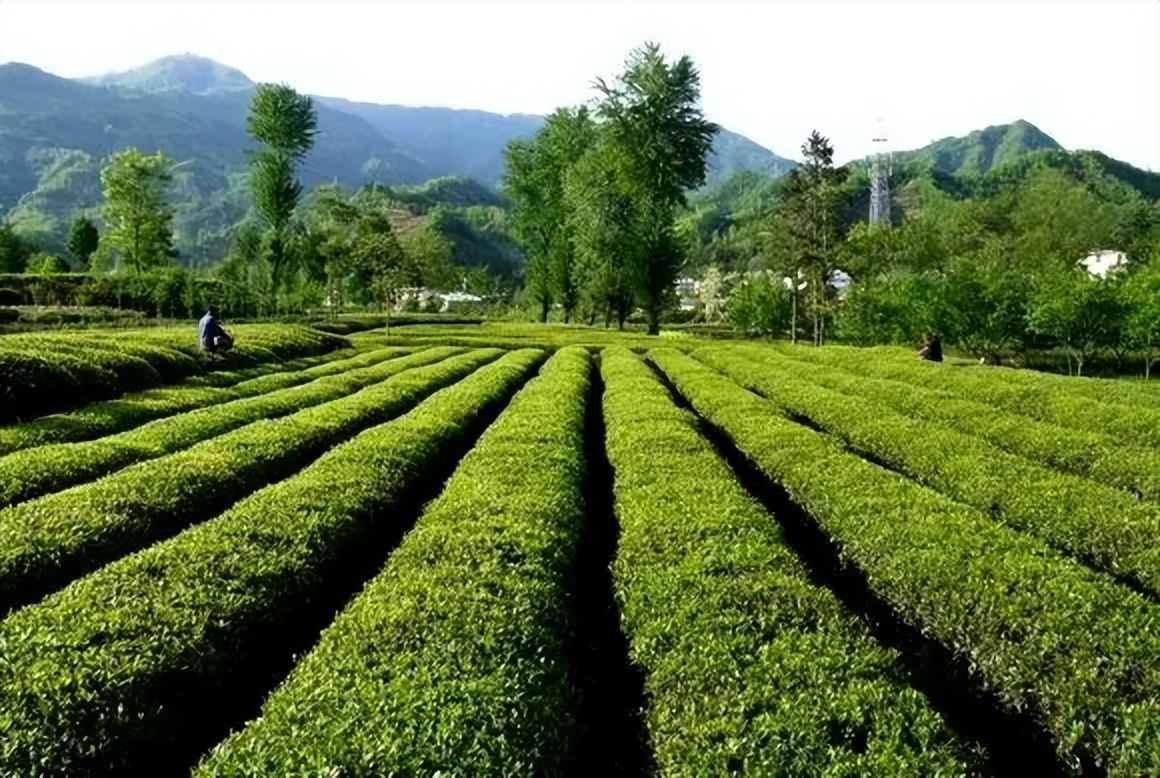 兰州旅游景点大全介绍（甘肃兰州旅游必去十大景点）-第103张图片-科灵网