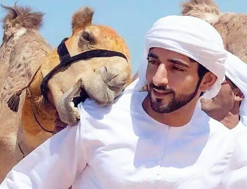 阿联酋迪拜王子(迪拜最帅王子哈曼丹:20架飞机却喜欢徒步,一夫多妻却