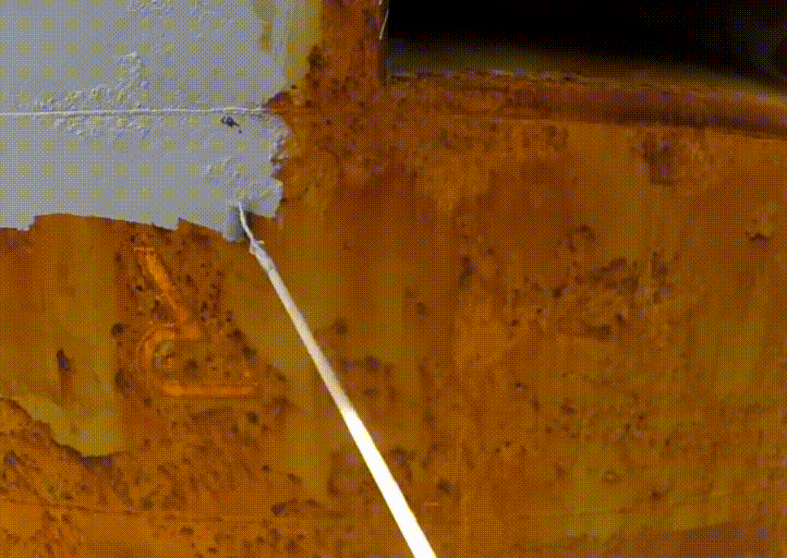 ���������⼣�߰ߣ��й��������������������£�ԭ�������