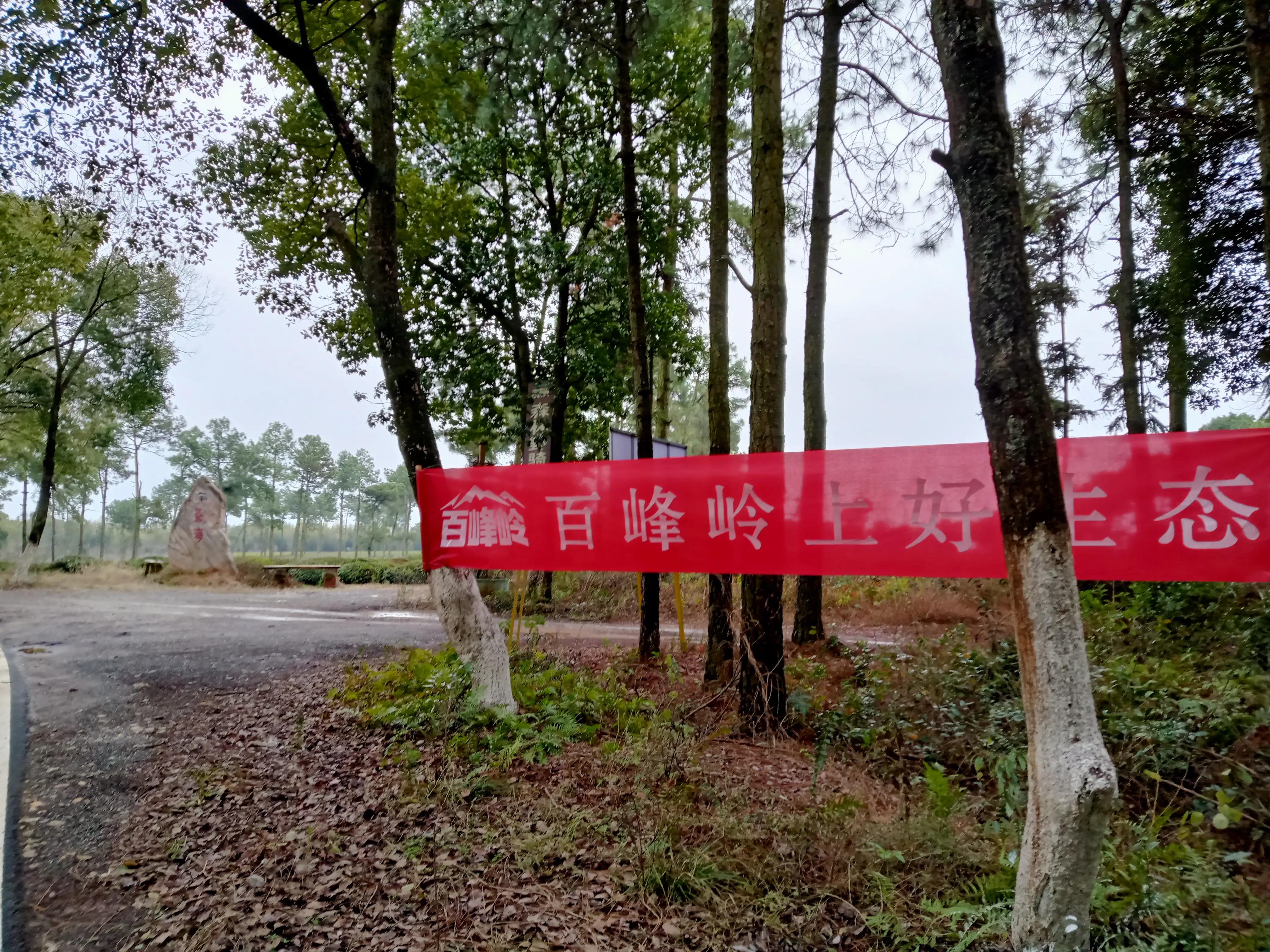 虎年春节好新年快乐！温馨祝福，拜年啦！分享江西高安百峰岭风景