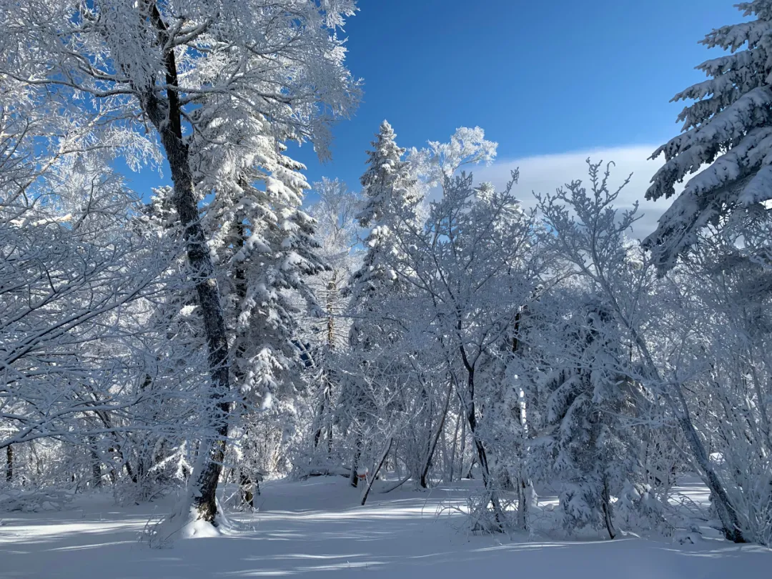 登高眺远景秘境身心愉冬日，来一场任性的雪山游