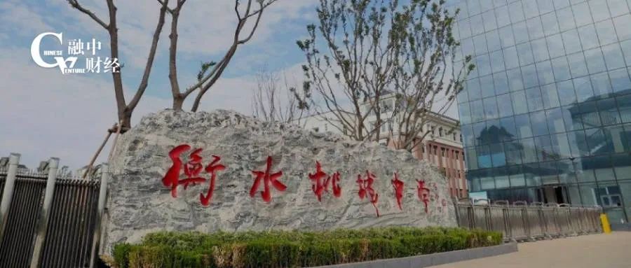 河北科技学院是虎振吗（被停止招生的衡水桃城中学）