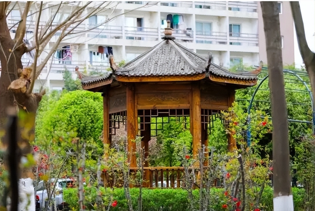 减免统招生住宿费，补贴可达1000元…这所高职助力学子圆大学梦