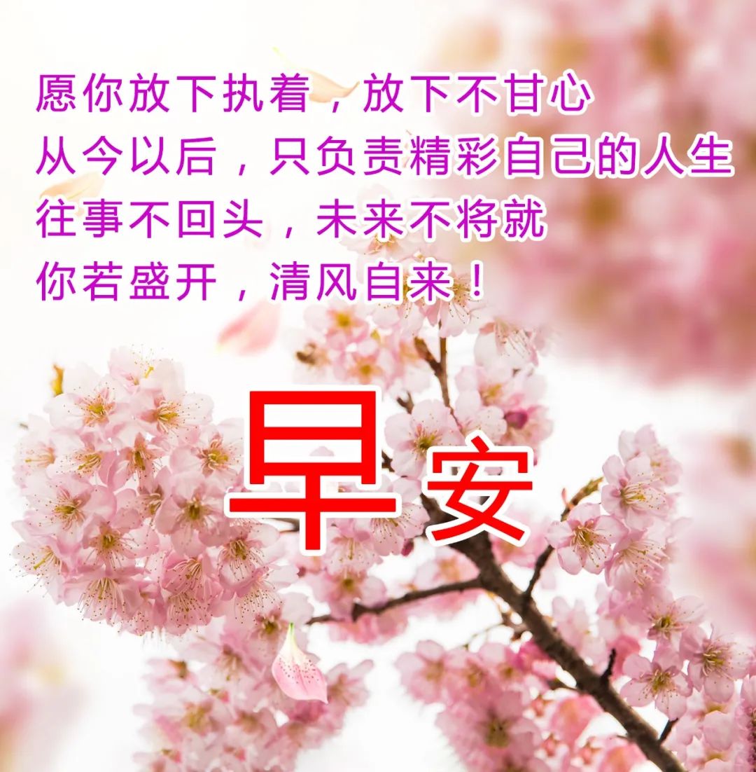 每日一句_晶羽科技