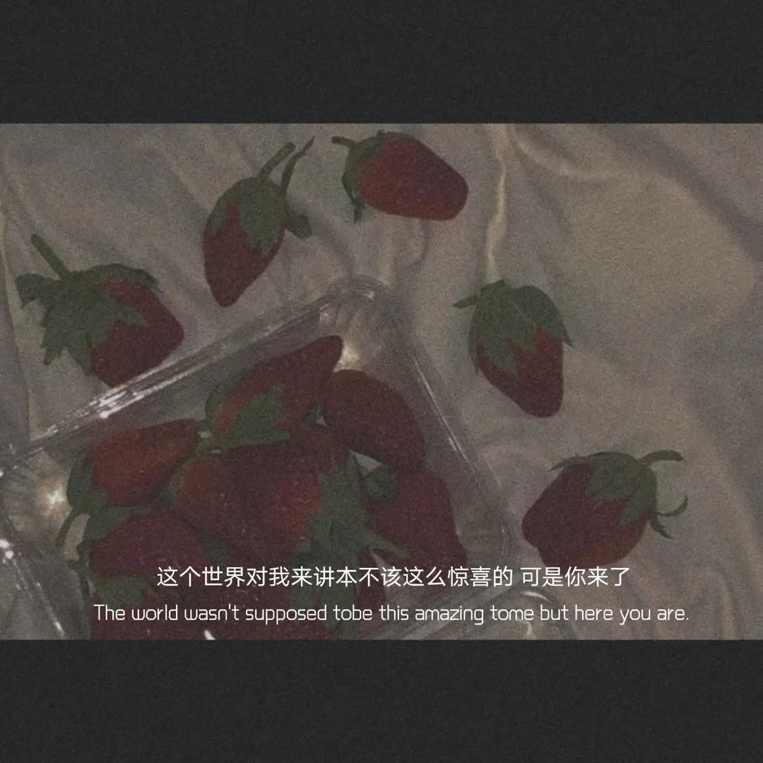 ֿ㣨ֿС˵֪-Ʒ