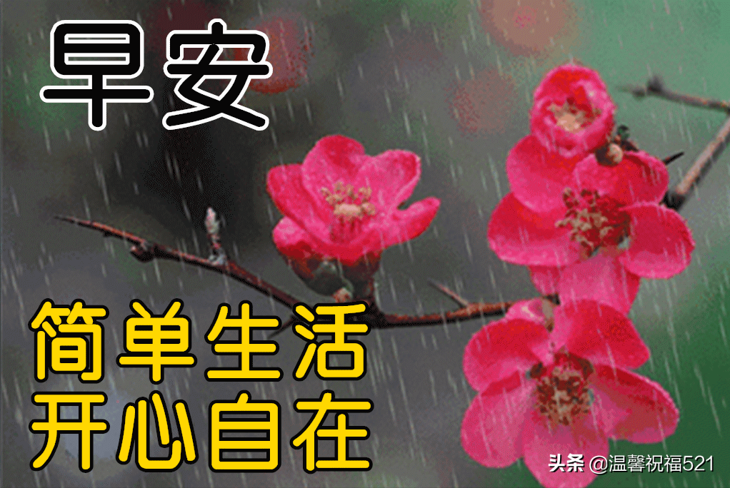 2月19日雨水早上好动态表情图片大全，雨水快乐出门记得带伞