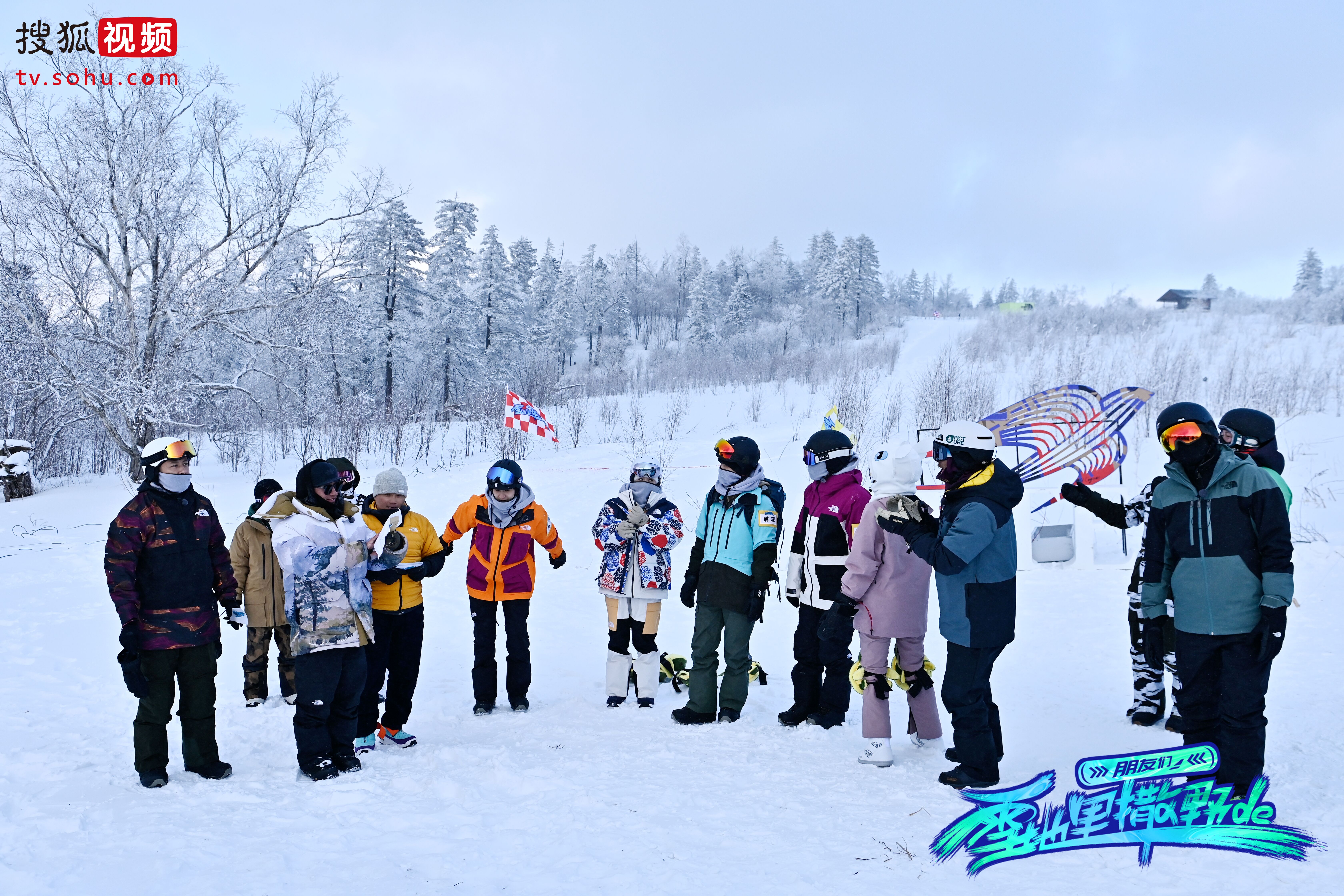 《直播特色突显 《雪地里撒野的朋友们》推动搜狐视频直播平台价值》