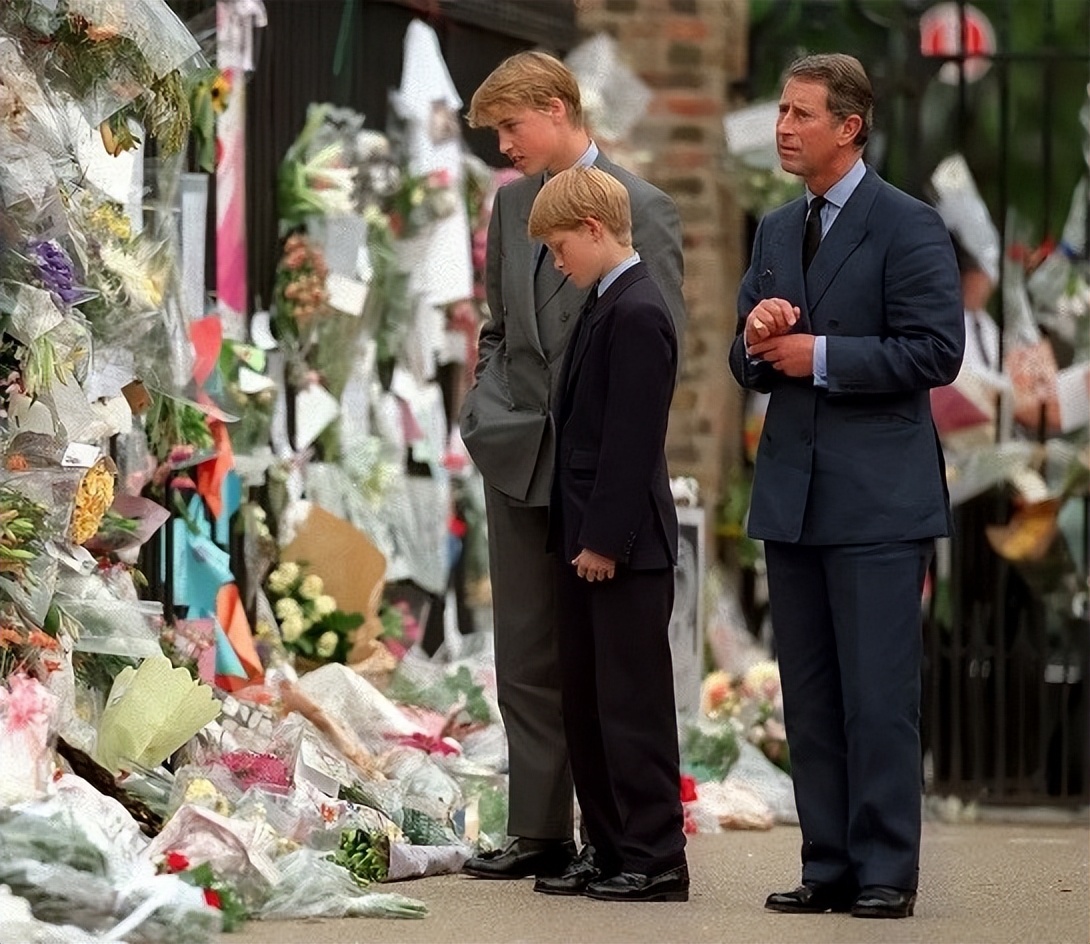 2017年威廉王子承认：即使婚外情被曝光，母亲仍是他最想保护的人