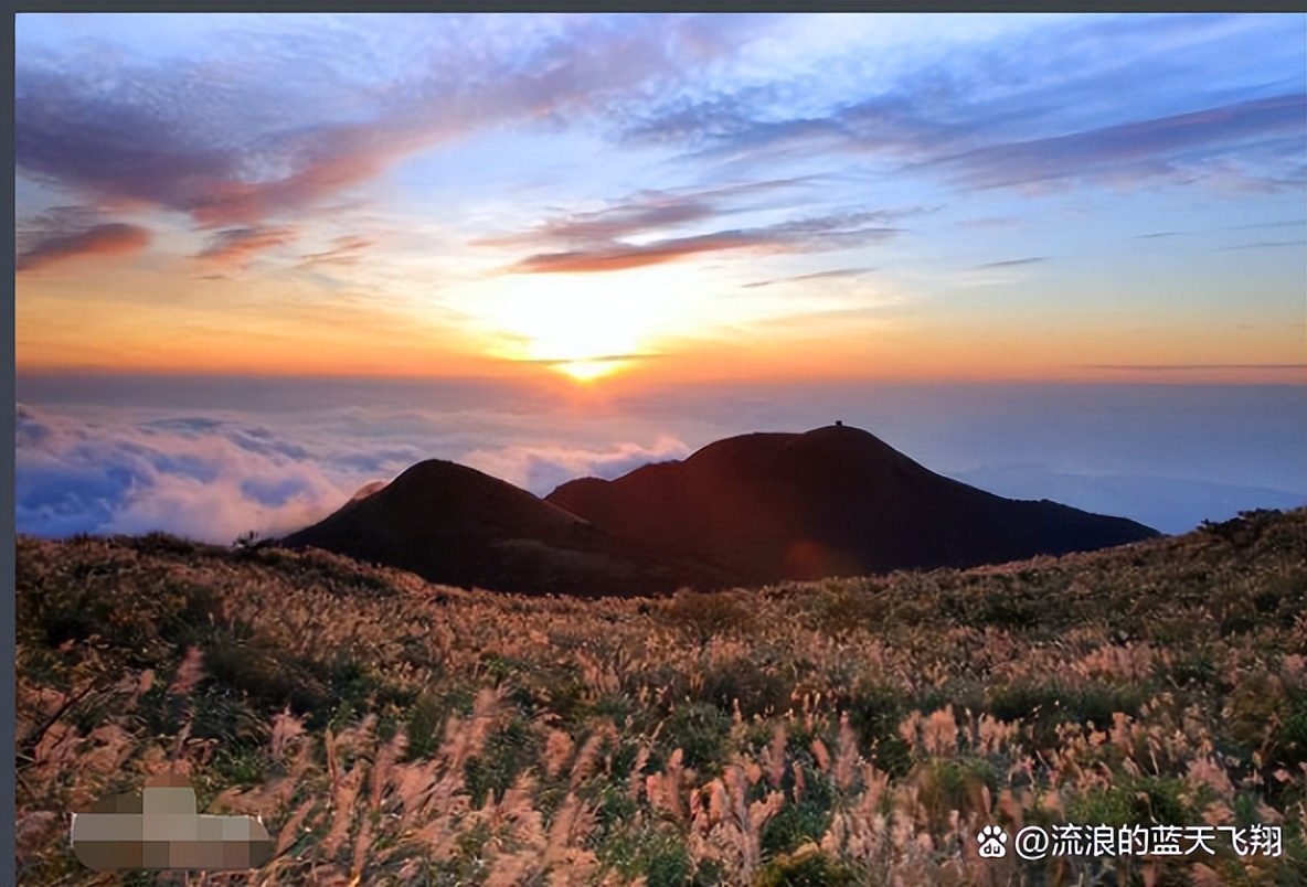 台湾和上海哪个面积大（台湾和上海面积和人口）-第14张图片-科灵网