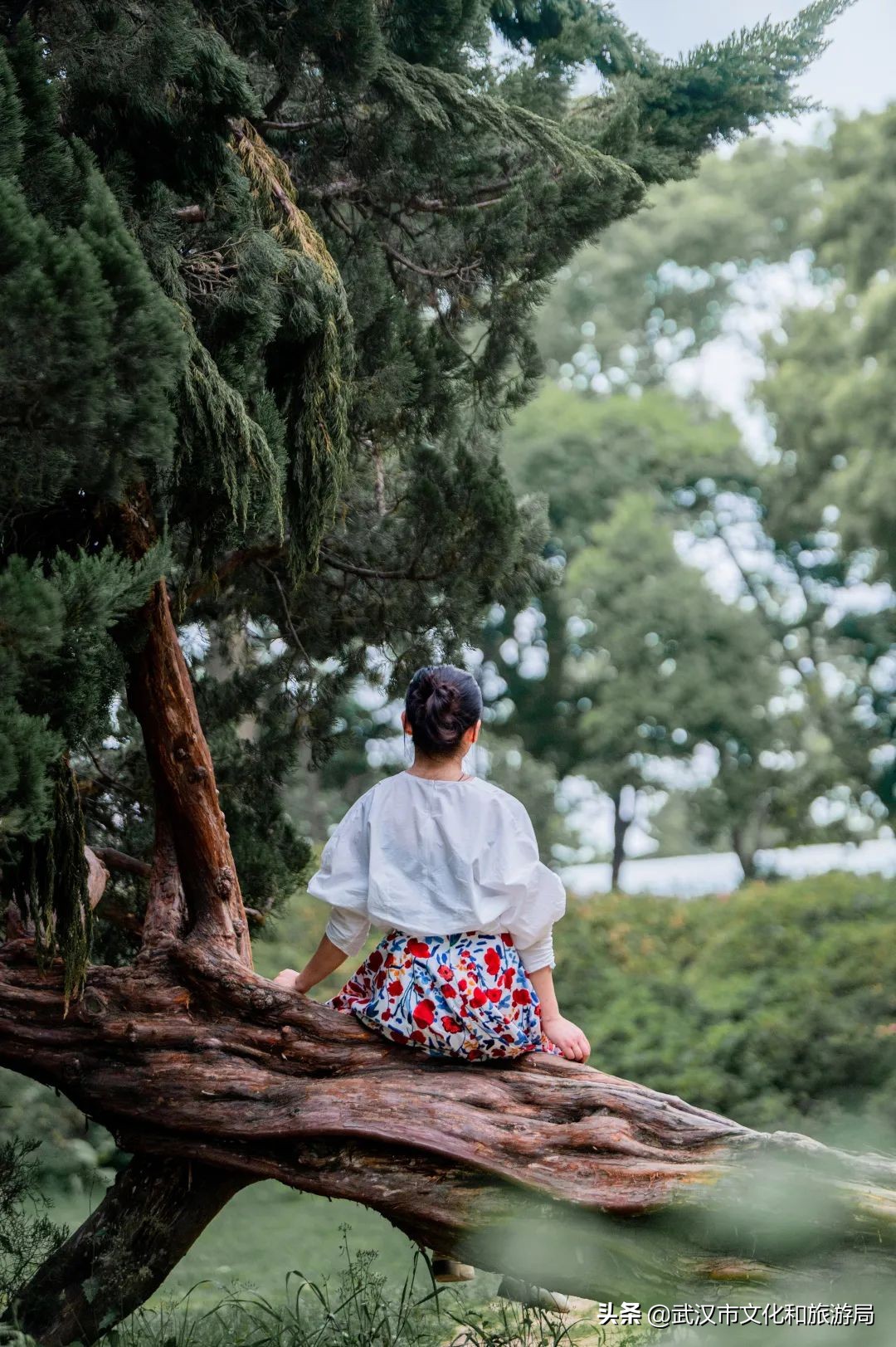 小编私藏景点合集这次都送给你