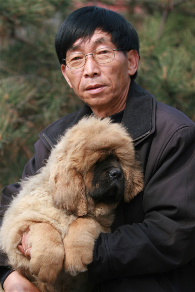 一条狗的身价居然可以达到上千万元,可不是空穴来风的事情.