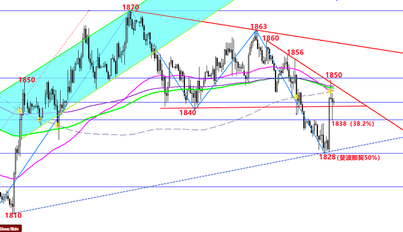 ���𻢣��S���ط�50���P(gu��n)�ǝq�ǵ����S�������߄�(sh��)�����������h