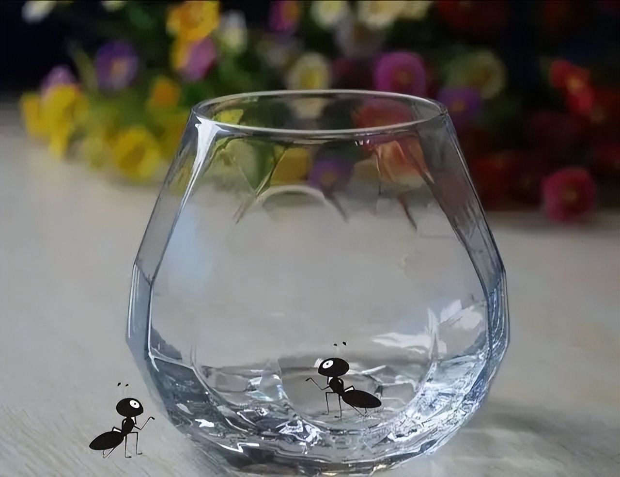 最荒谬的是：这个世界竟然可以被理解