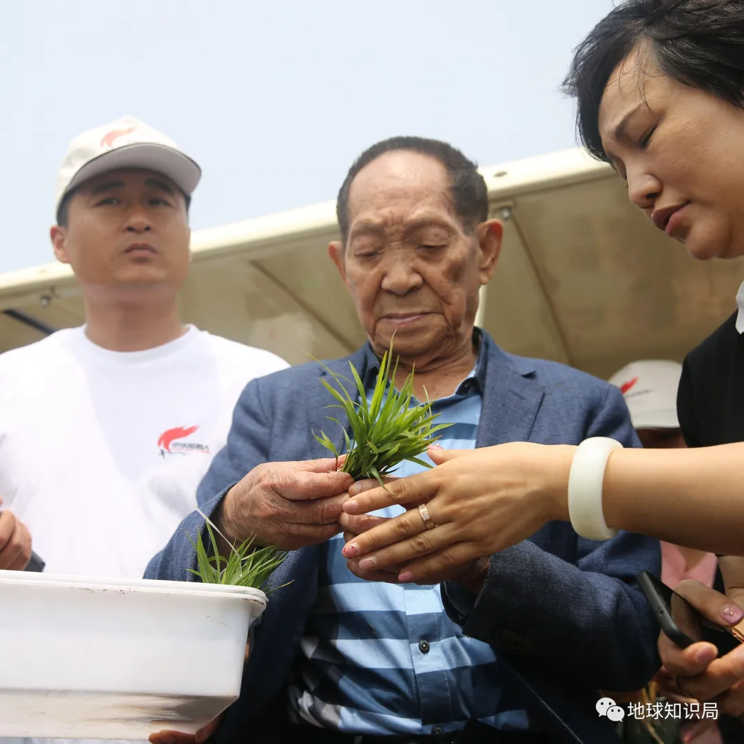 东北盐碱化，令人非常担忧｜地球知识局