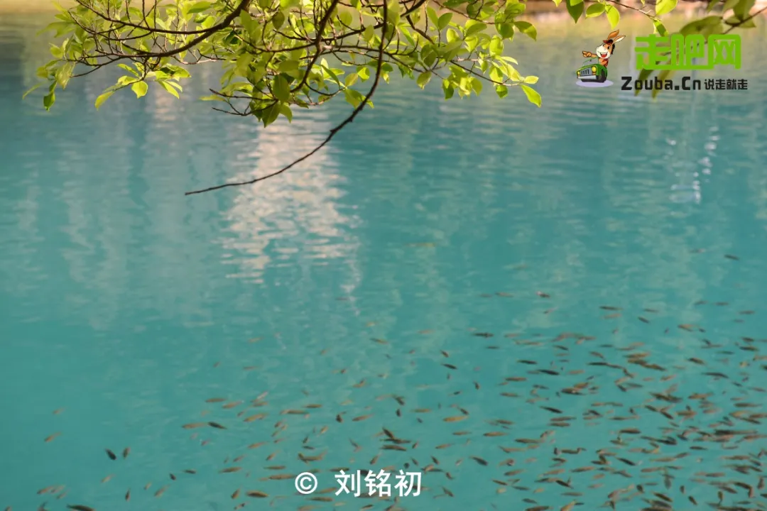 最美的山水风景（广西最美边境小城山水媲美桂林）