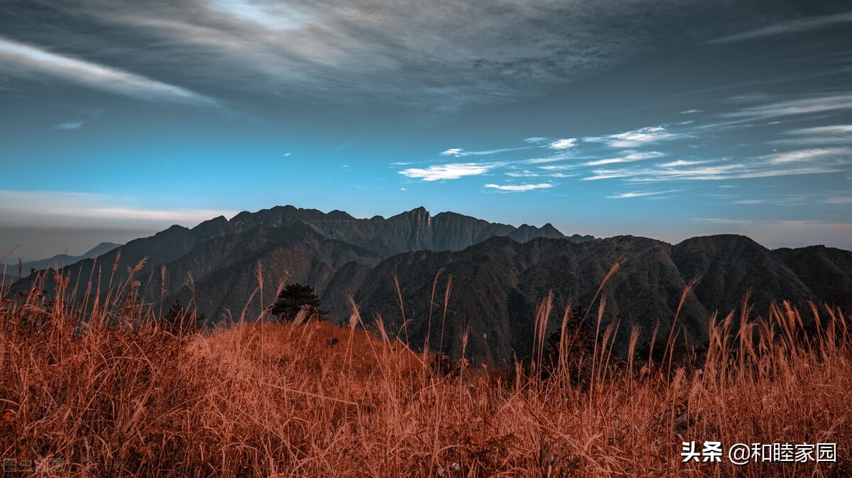 寂寞是一首诗｜天空神鹰飞过，星光点燃希冀，写下对大山的忠诚