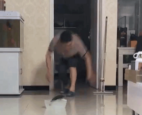 沉迷冰壶后，家里的锅碗瓢盆都被我扔了
