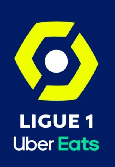 什么叫法甲联赛（什么是法甲？）-趣拿体育