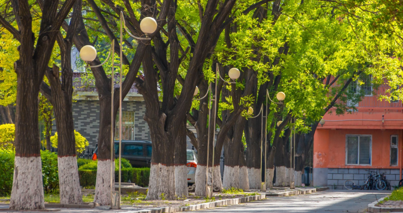 适合一本压线考生报考的10所大学，容易被录取，性价比高