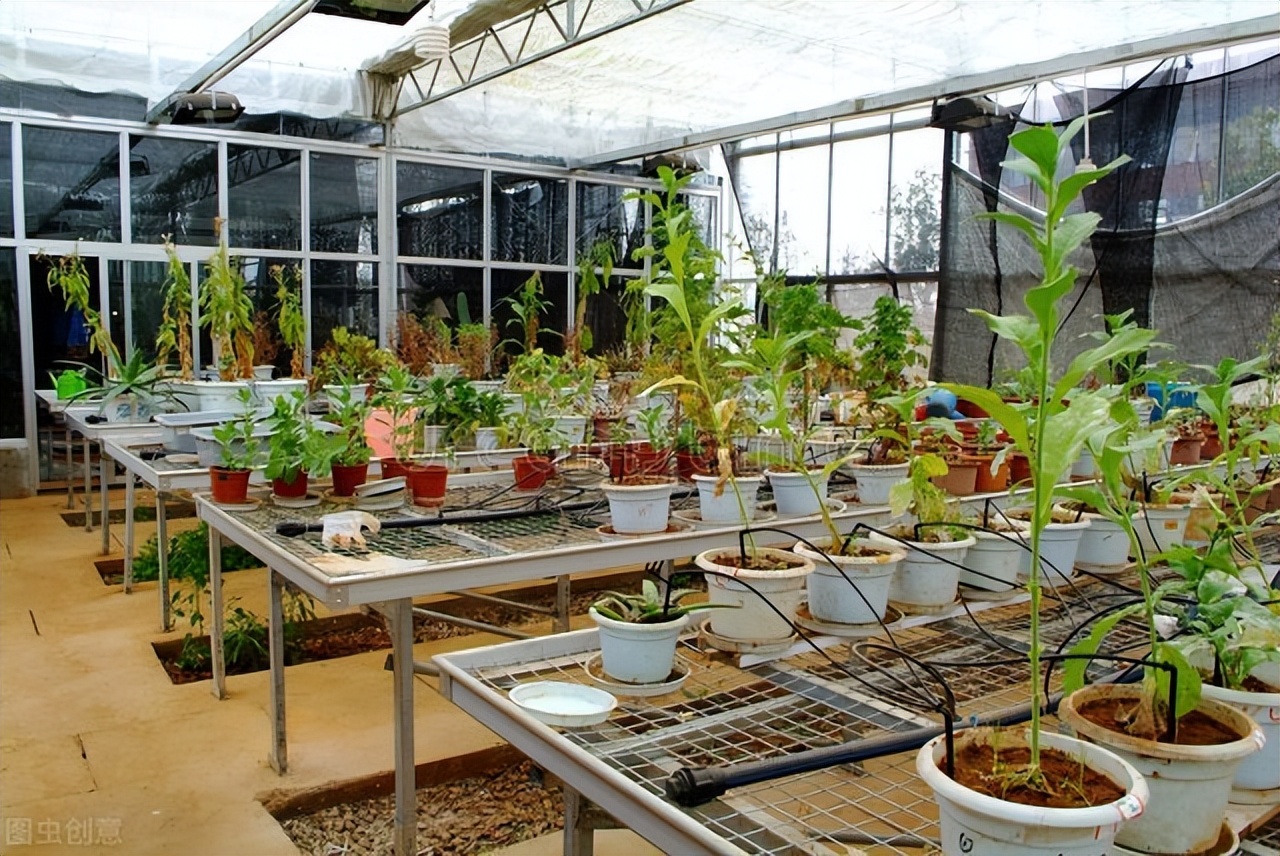 盘点四个专科层次的农学专业，就业质量很高，未来不输普通本科生