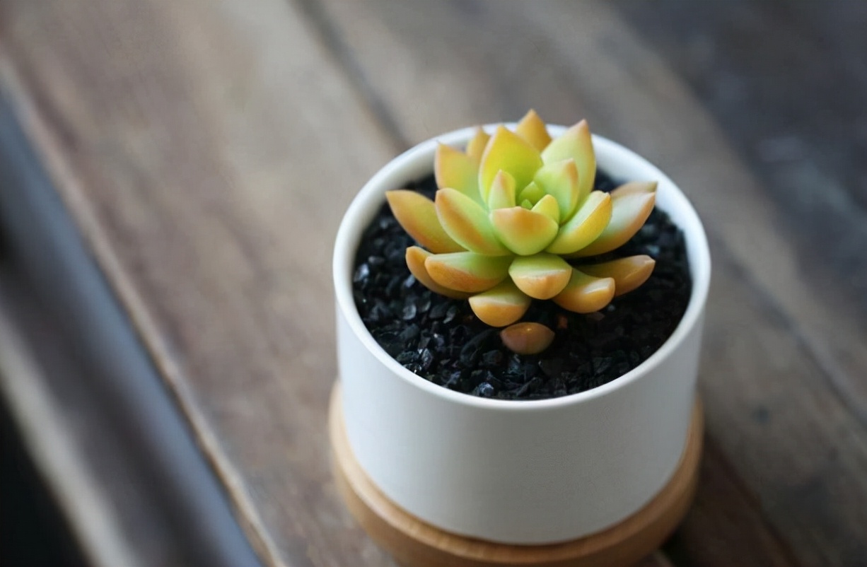 兄弟姐妹交往时，心机越重的人，越喜欢做这几件事