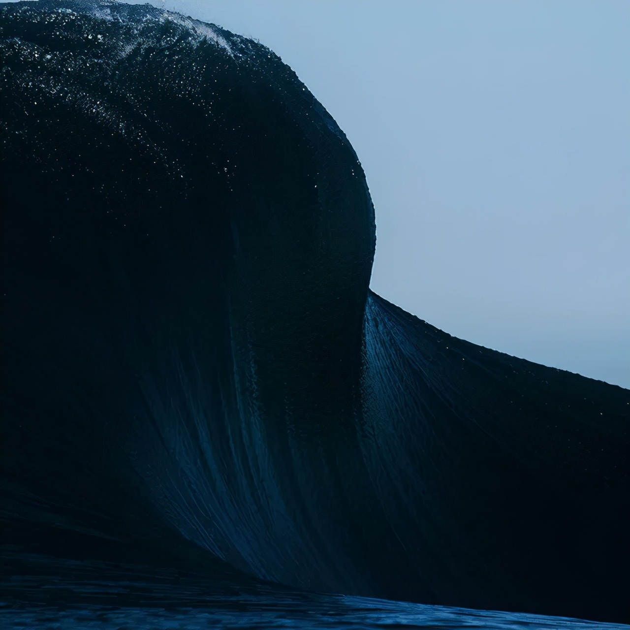 深海恐惧症图片测试图(50张照片测试你是否有深海恐惧症) - 赤虎壹号