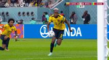 世界杯-库利巴利建功 塞内加尔2-1战胜厄瓜多尔 携手荷兰晋级