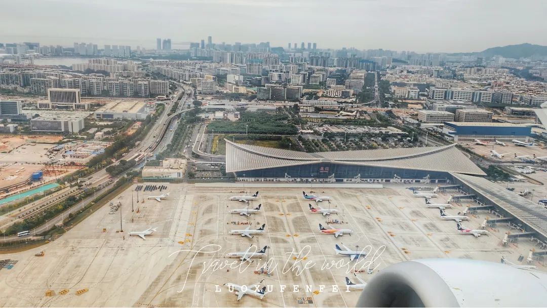 山航魔毯延期3个月遭吐槽，网友：你真的厚道吗