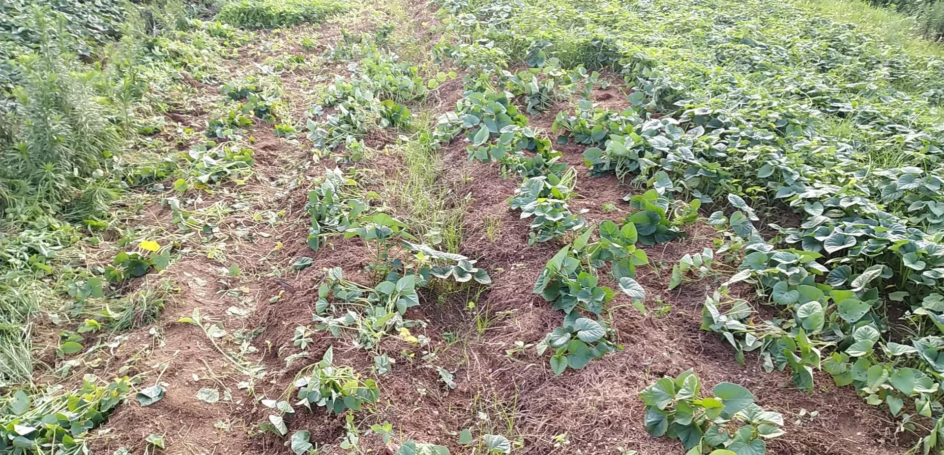 律师执业与律师考试之间的区别