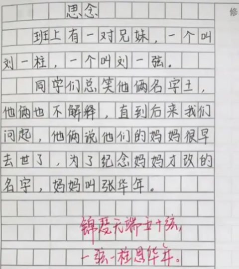 《我的小姨》一片小学生作文