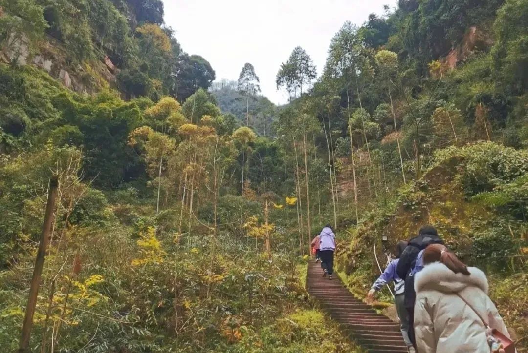 成都周边山区旅游(1.5h就到！去这个小众地爬山吸氧、看山间石刻佛像、吃生态美食)