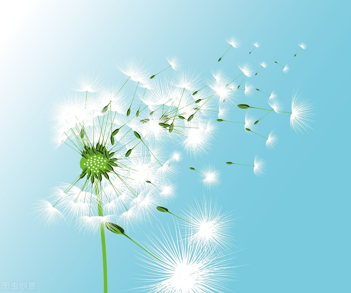 现代诗一首《蒲公英》