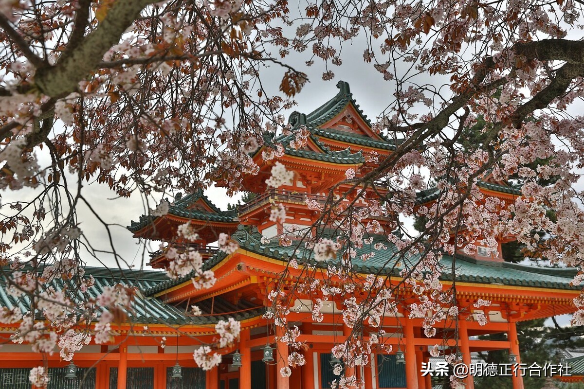 金融危机后，华为为什么组团去日本？