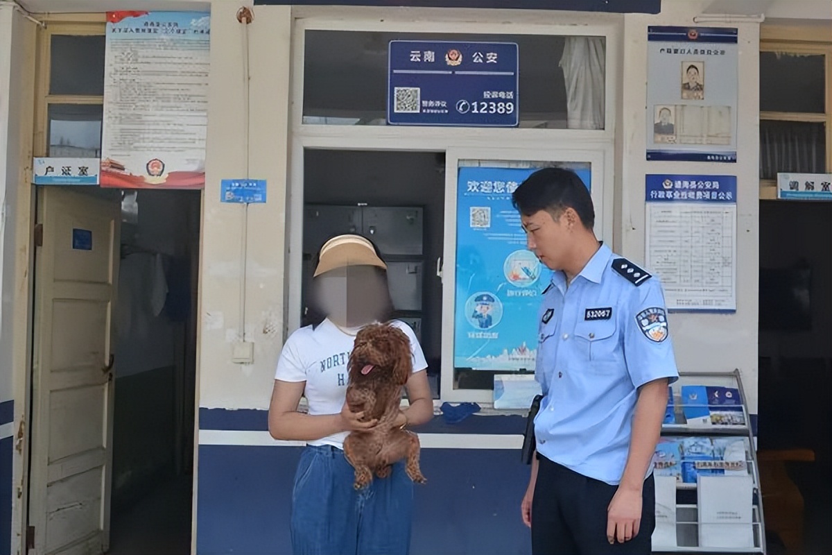 泰迪犬走丢 民警助力找回