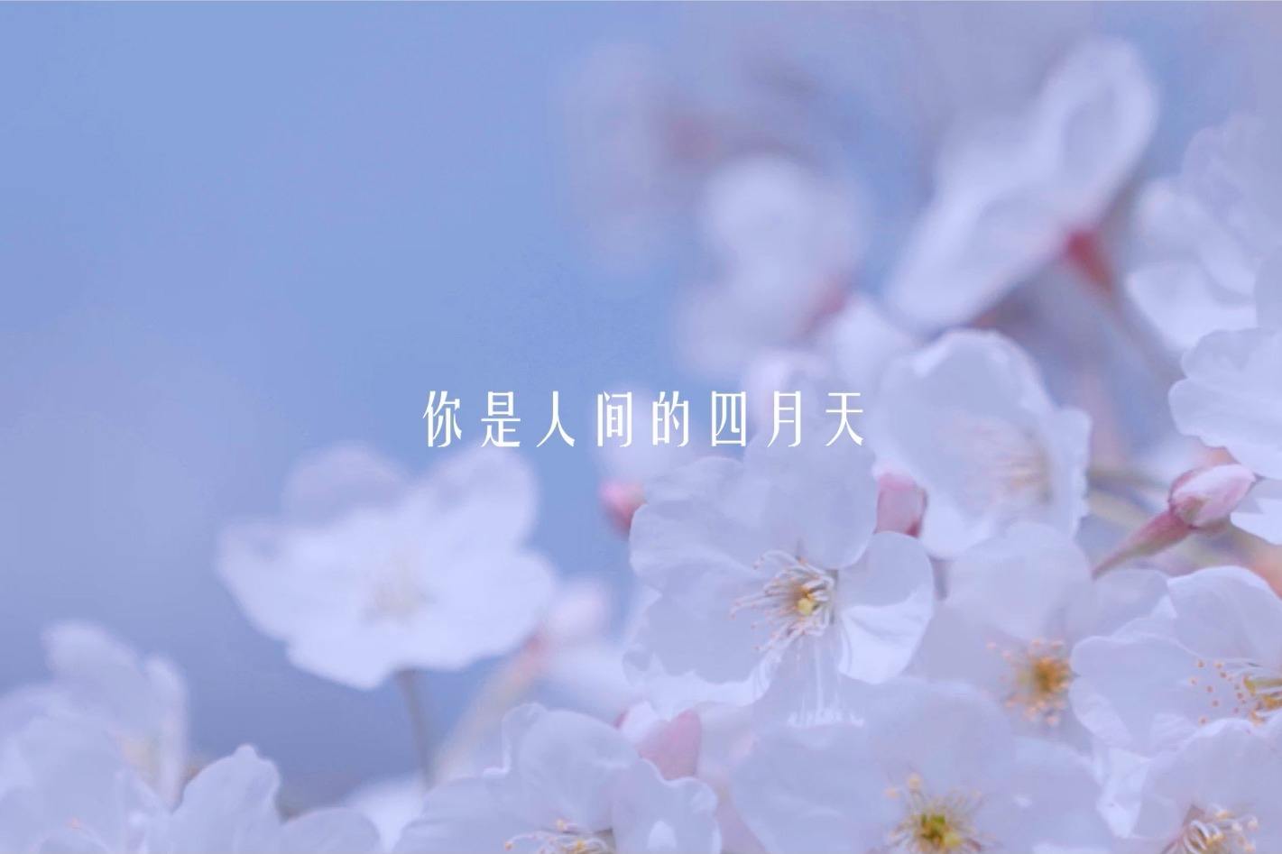 国潮品牌赵芷僖：最是一年春好处，品味美食正当时