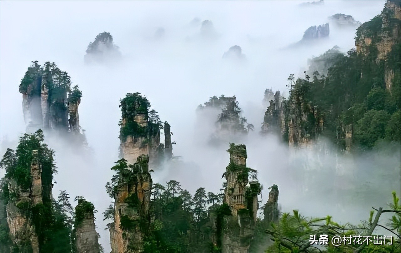 最高的山是什么山(中国最美的“10大名山”，仿佛身处在人间仙境，黄山值得一去)