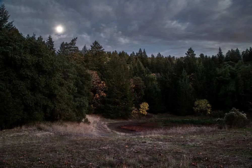去美国学摄影，有什么好学校（本科）