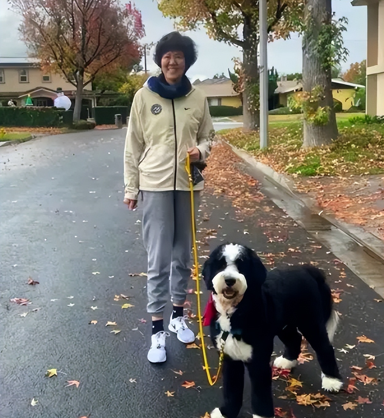 61岁郎平学校引围观！穿平底鞋比男生高一截，一双筷子腿十分抢镜