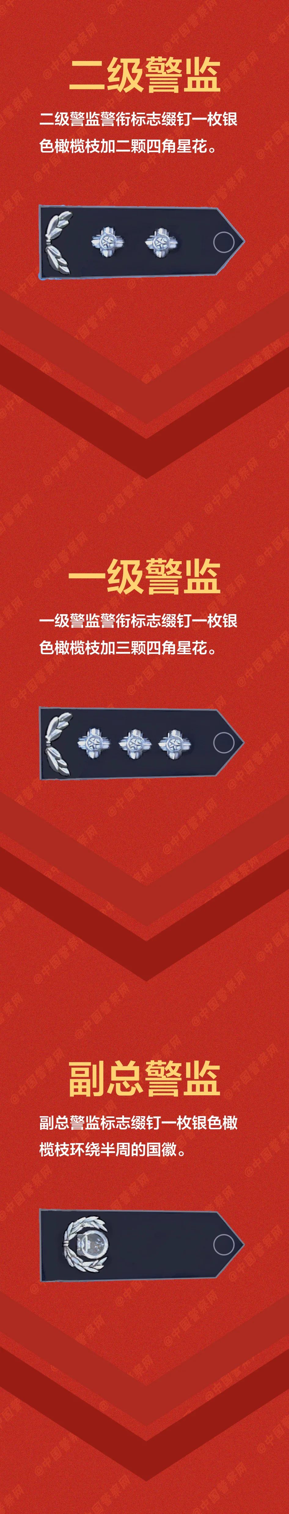 【警察节特刊】这些警衔,你戴到哪个了?