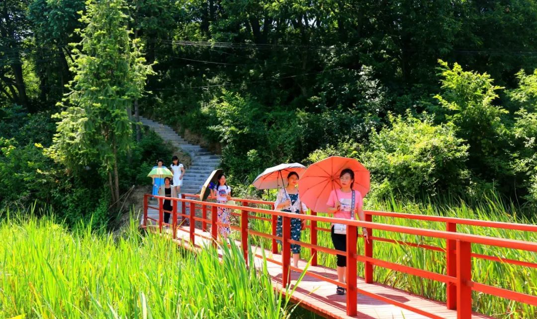 光山县：荷花悄然绽放 迎来最美夏季