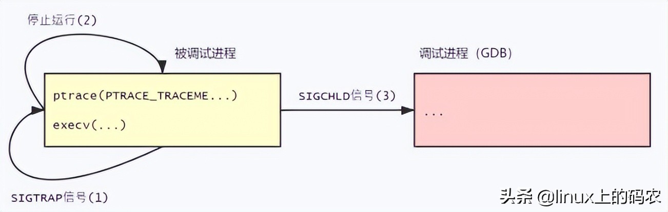 一篇掌握GDB调试程序的核心技术-ptrace系统调用与使用示例