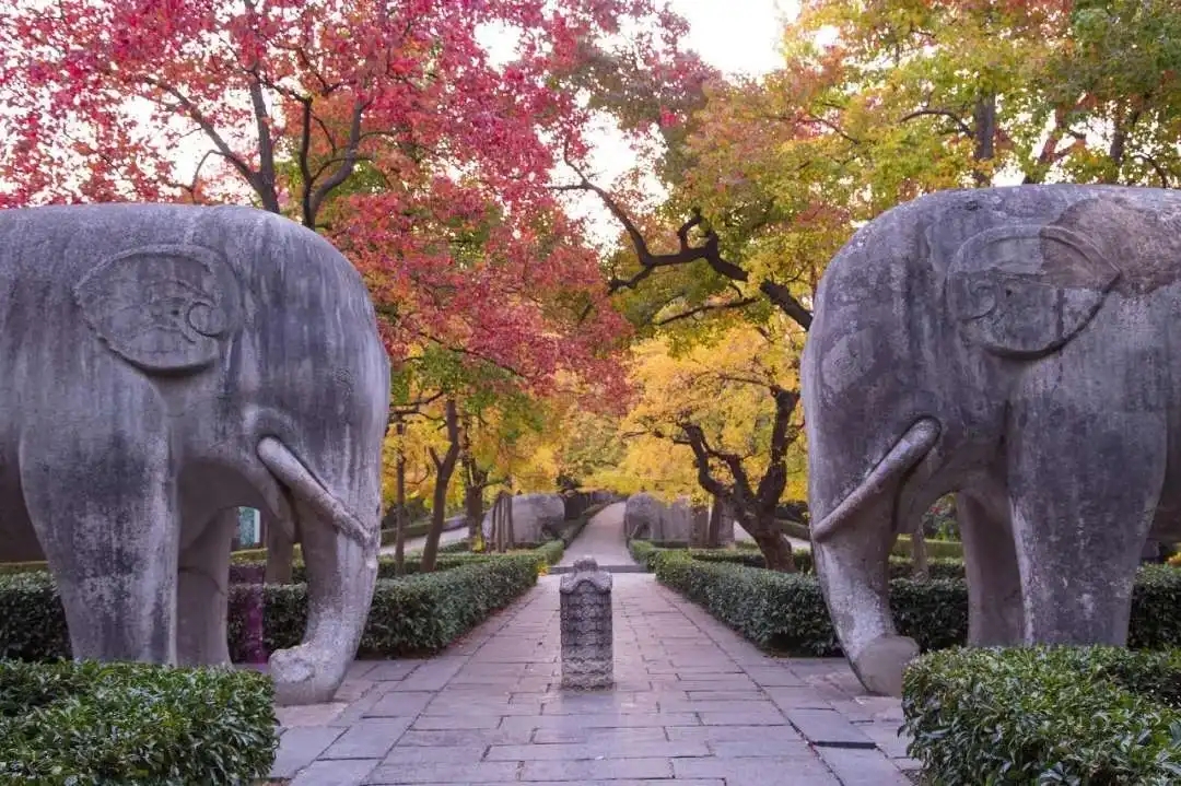 南京十大网红景点，景美独特好玩