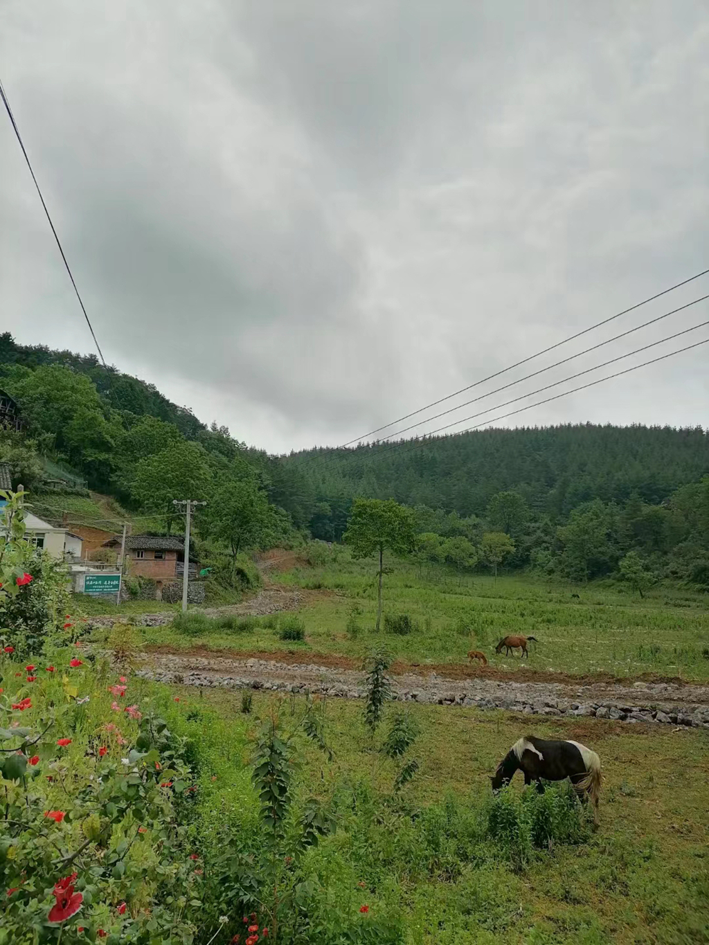 压雪车多少钱(冬奥会带动冰雪经济，马头岩建单板赛事中心，总投资1.5亿)