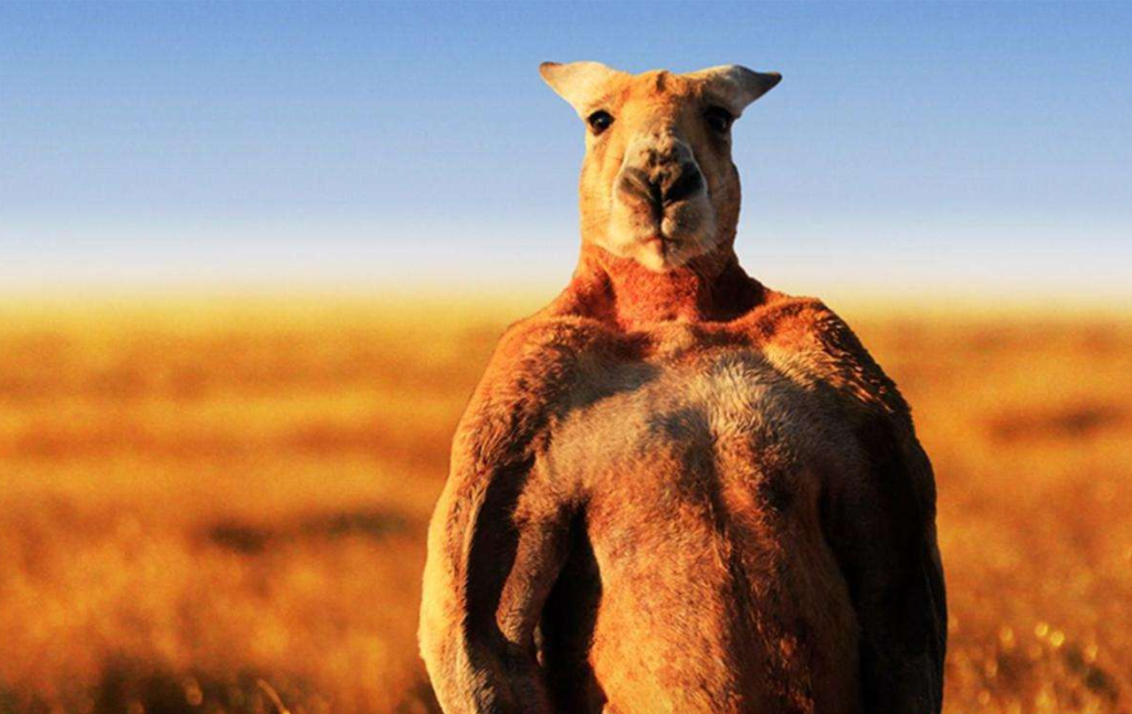 �Ծ��ú���Ϊ�ն����ܲ��ܲ�ɢ���������ˡ���