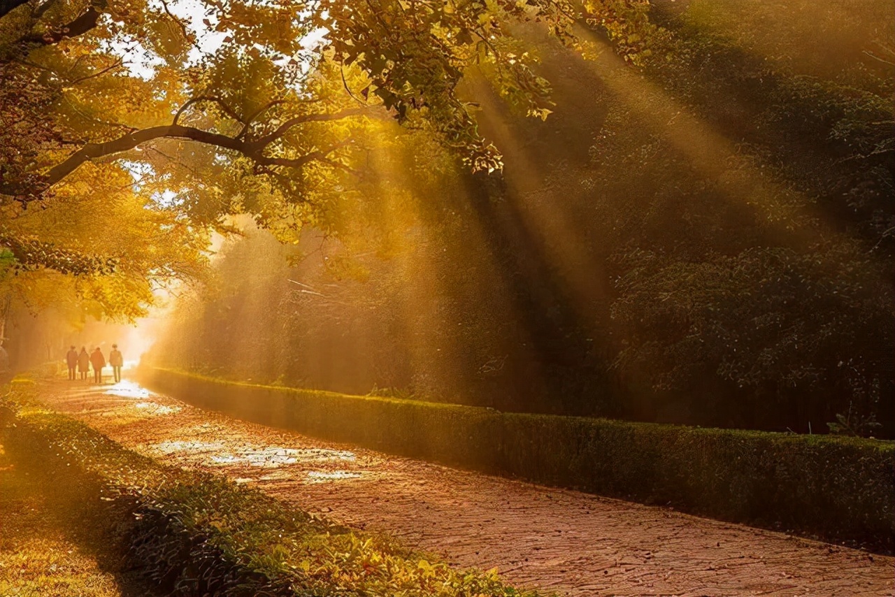 南京豪宅发源地，润系著品再登临