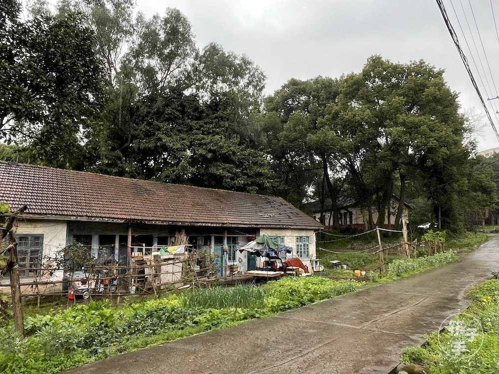 重庆炮校：重庆大学城里的第一座学校