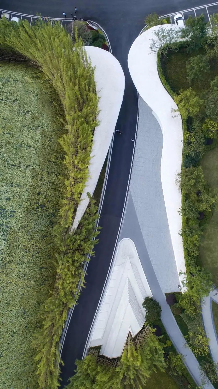 景观设计，“曲线”之美